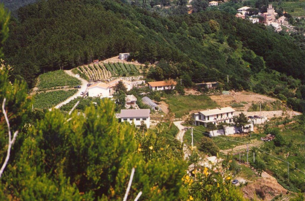 La Foce Del Prato