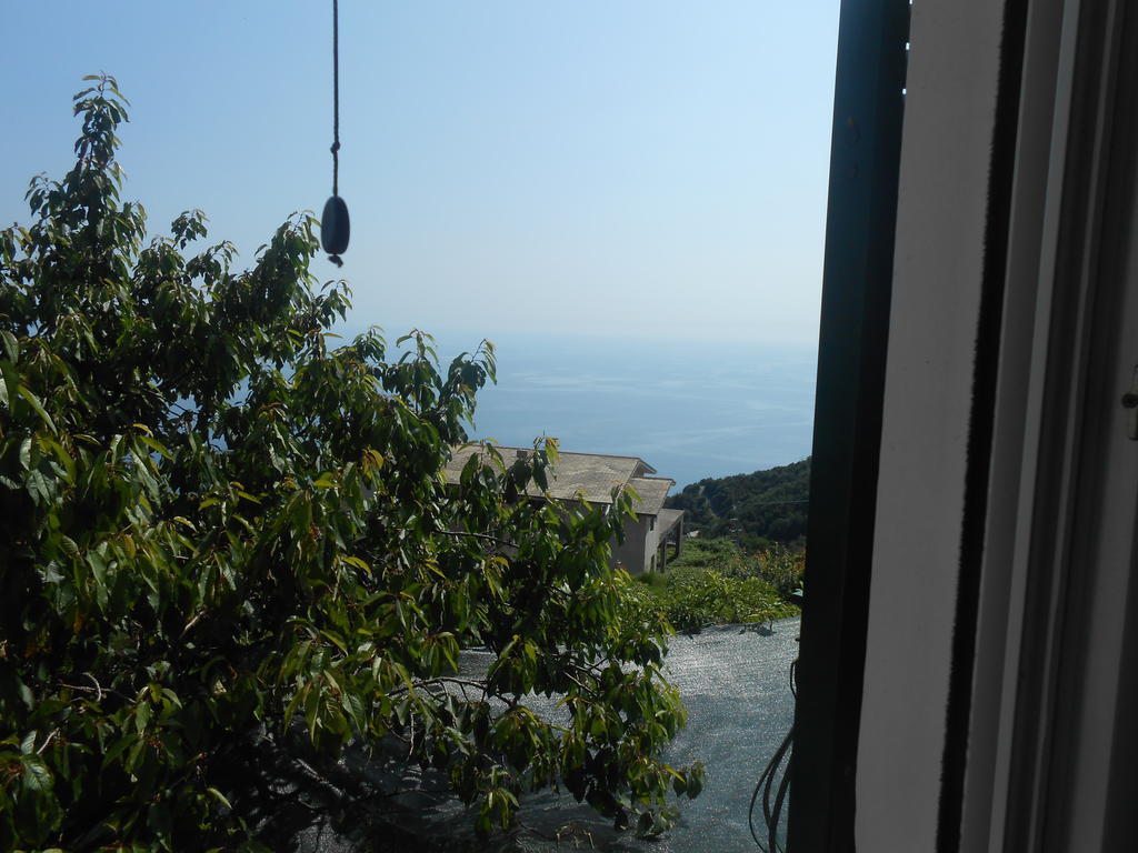 Vakantieboerderij La Foce Del Prato