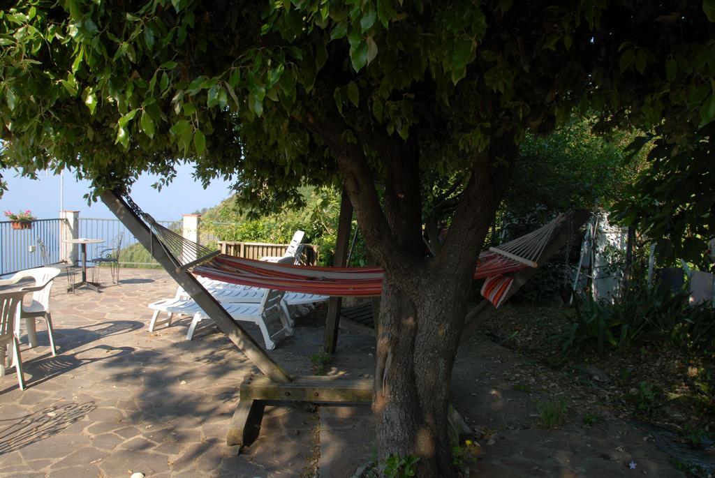 Vakantieboerderij La Foce Del Prato